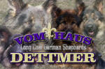 Welcome to Vom Haus Dettmer.  Long Coat German Sheperds.